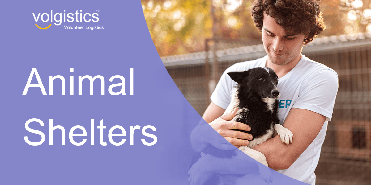 Animal Shelters