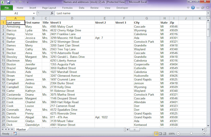 Example of Names and Addresses Stock Report